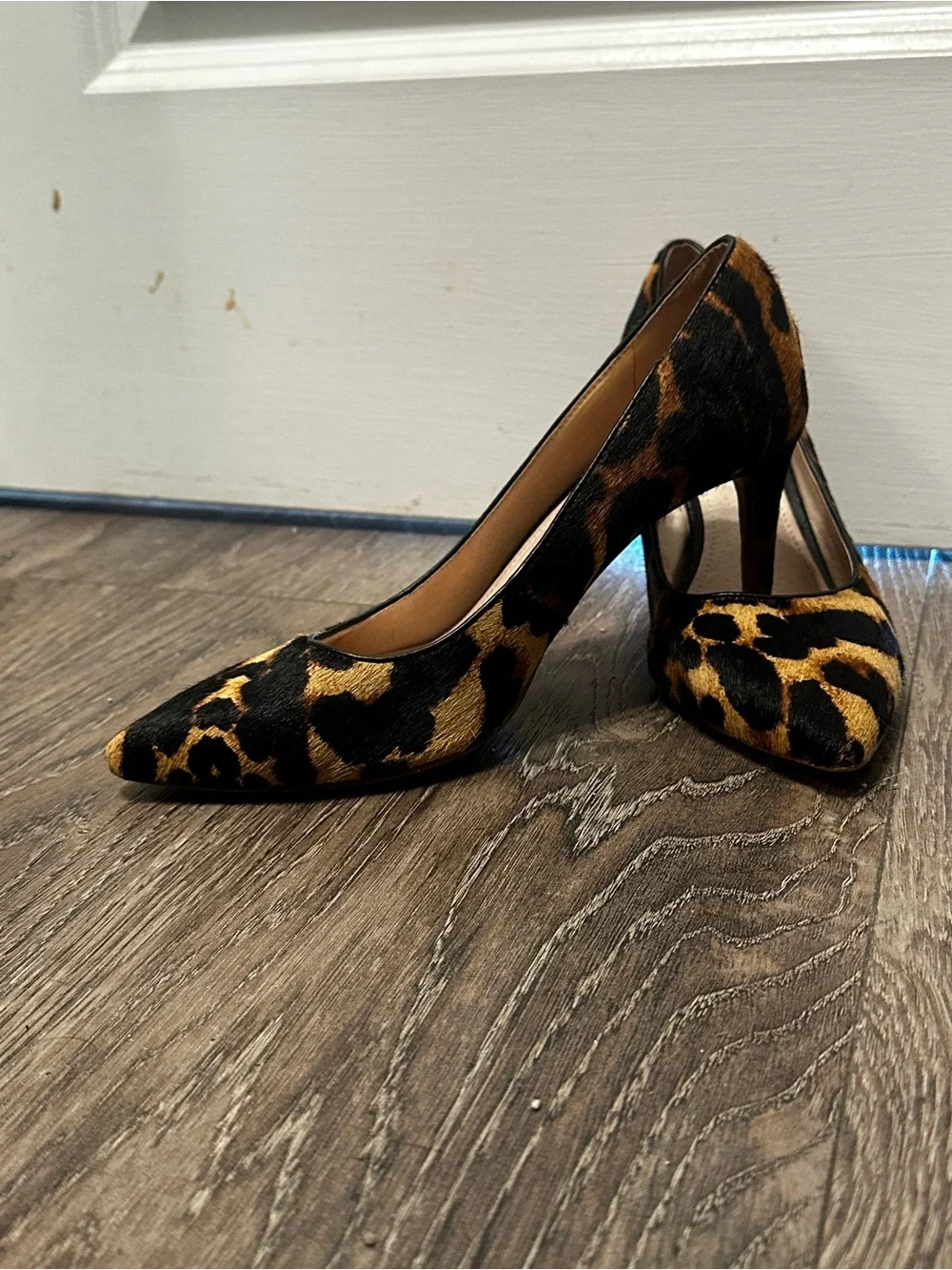 Women's Leopard Print Pointed-Toe High Heels